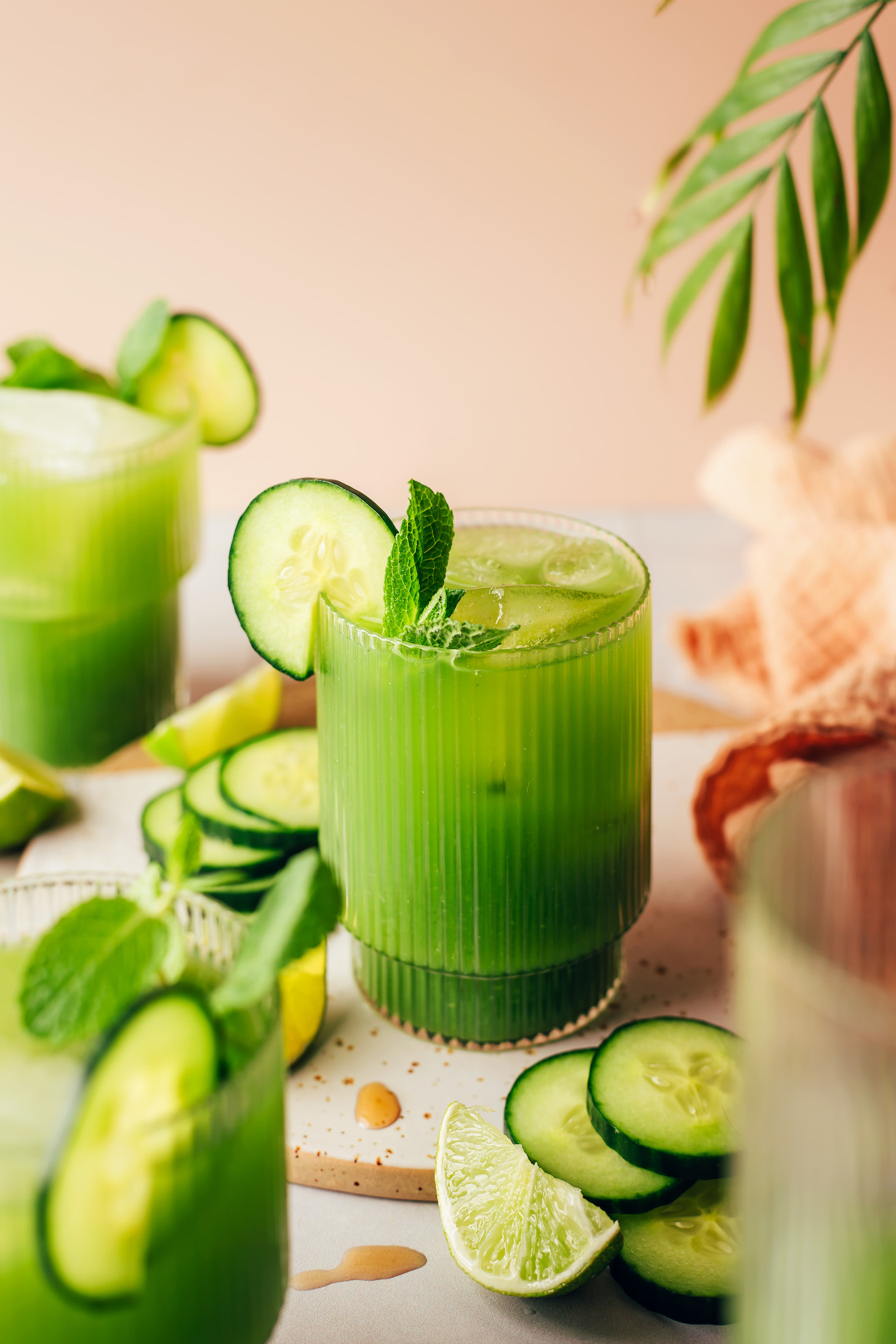 Glasses of cucumber lime agua fresca with cucumber slices on the rims and garnished with fresh mint